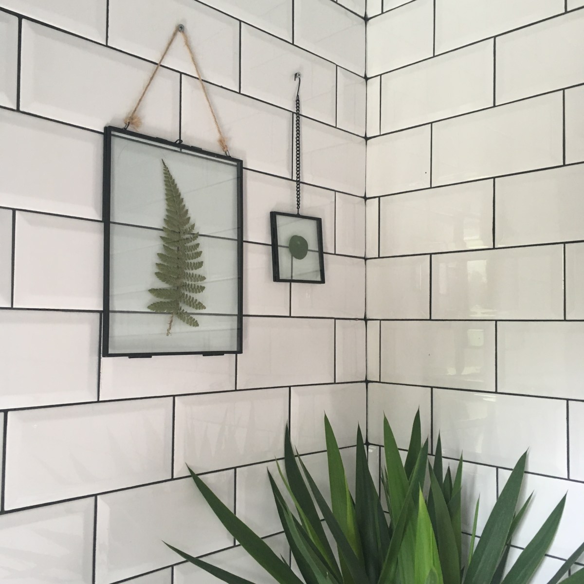 0A78A955-751A-4AA0-AB83-8CF6202BD1E3