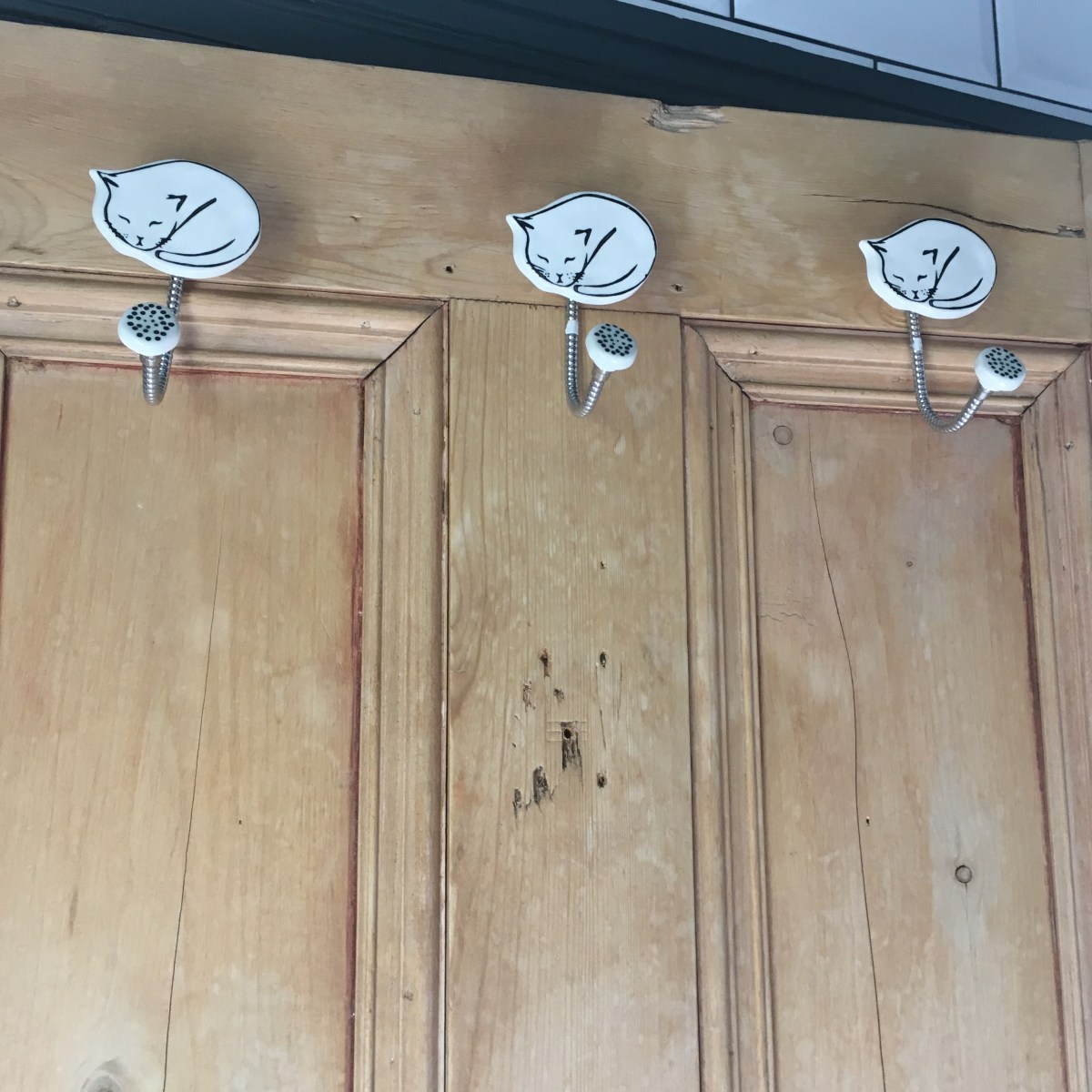 89AB3A45-E422-4075-85E3-95979413404B