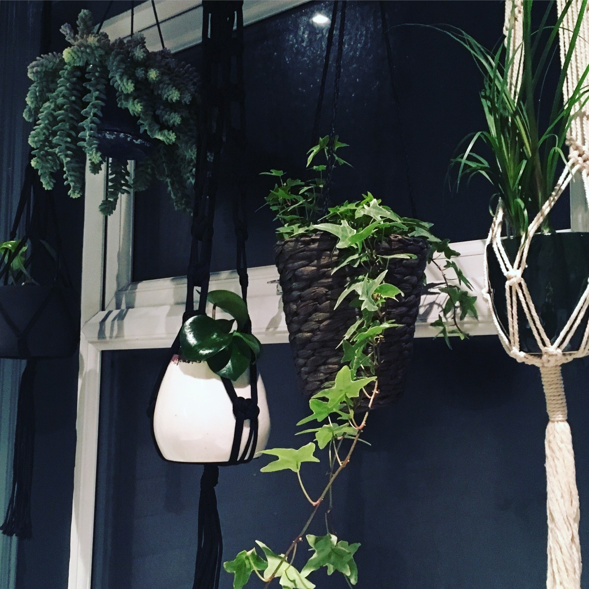 F6ED81B0-FE6F-45EE-9E0B-86C053A03EE2